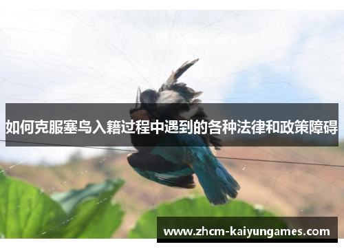 如何克服塞鸟入籍过程中遇到的各种法律和政策障碍