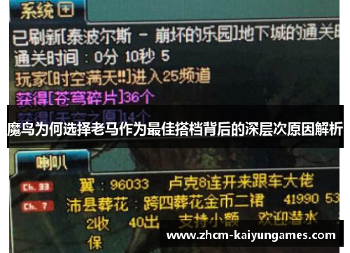 魔鸟为何选择老马作为最佳搭档背后的深层次原因解析